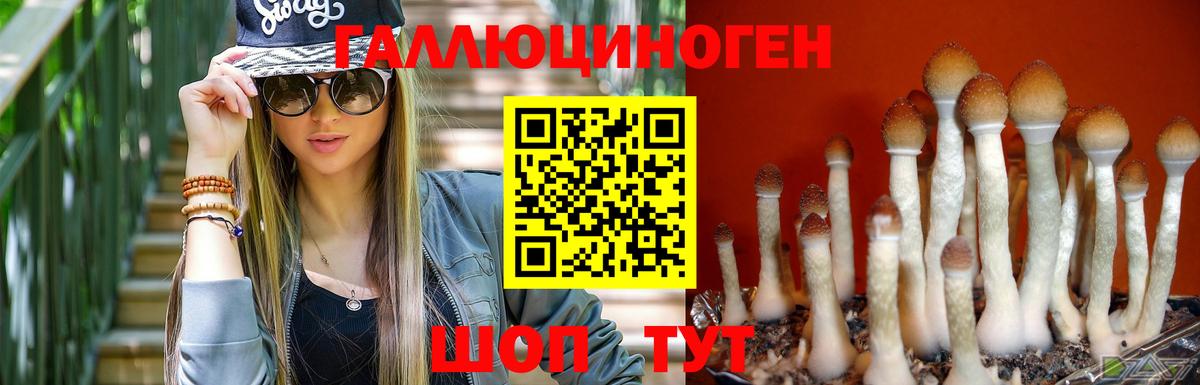 Галлюциногенные грибы мицелий  Вход с VPN  Северобайкальск 